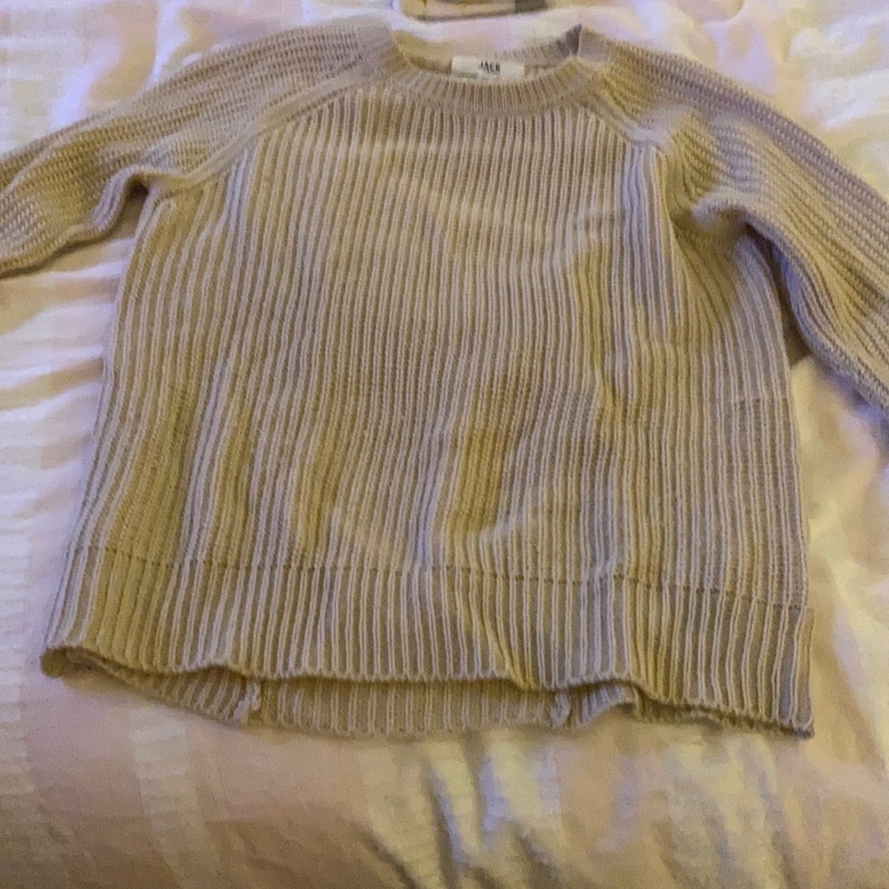 Small Sweater (Jack by BB Dakota)